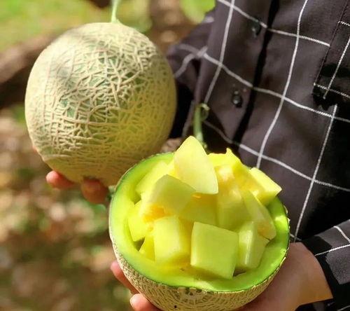 娱乐吃瓜图片高清壁纸,捕捉娱乐圈热点瞬间壁纸