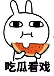 娱乐吃瓜酱罚款,揭秘网红圈背后的法律红线